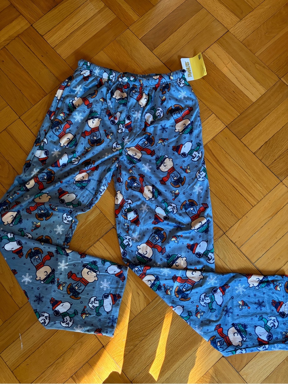 NWT Peanuts Briefly Stated Men’s Med Christmas Pajama Pants Snoopy Charlie Brown